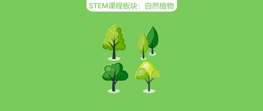 以【植物】为例，孩子在羊角锤可以经历多少种探索