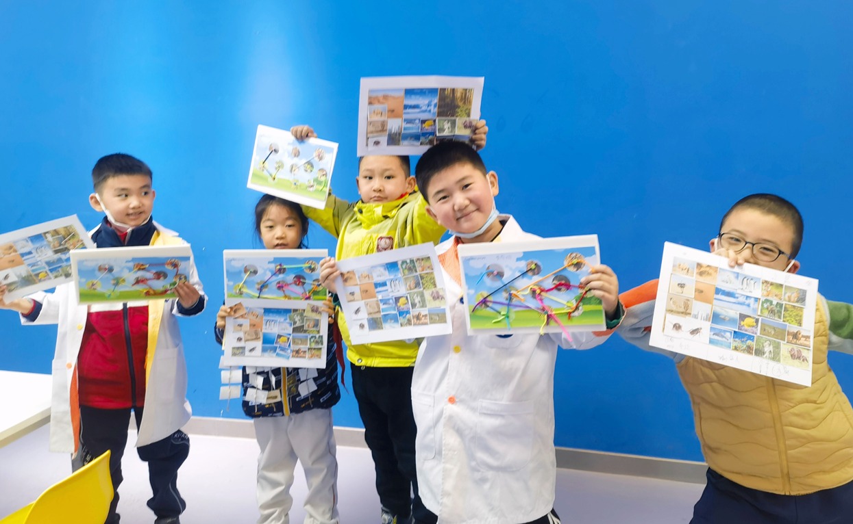 羊角锤STEM【动物科学】板块-神奇动物在这里！